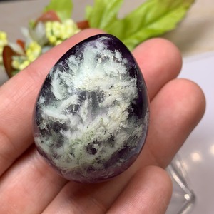 T45.エンジェルフェザーフローライト たまご