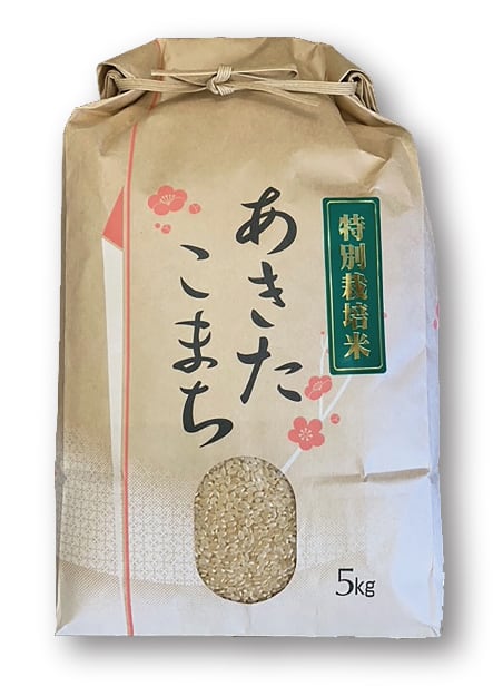 令和7年産 玄米 福島県会津産 天のつぶ 30kg | お米や本舗 （旧熱塩
