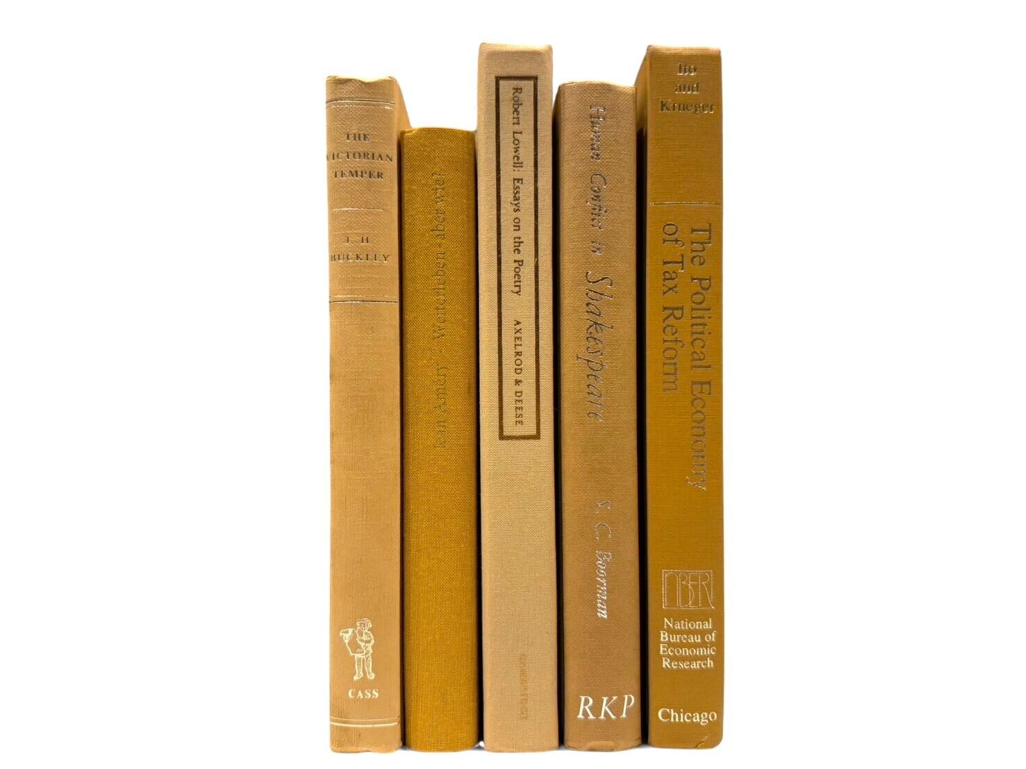 【DC1365】'lychee' -5set- / display books