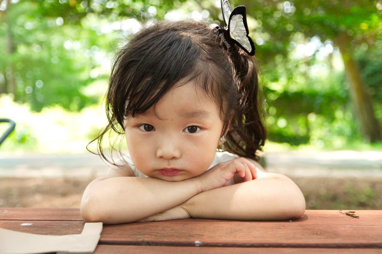 美しい蝶 ヘアクリップ