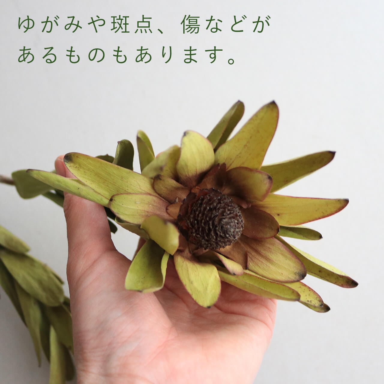 551b3073ac89292394ab54885b599b