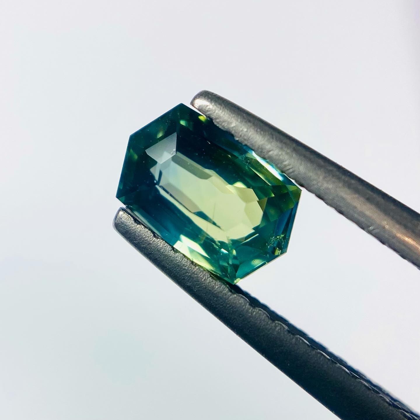 貴族の紋章　サファイア