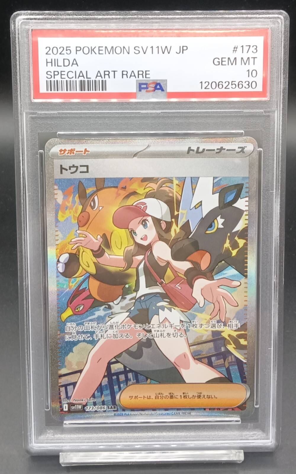 PSA10 カメックス(25th)【P】{003/025} [S8a-P] | ワンピース