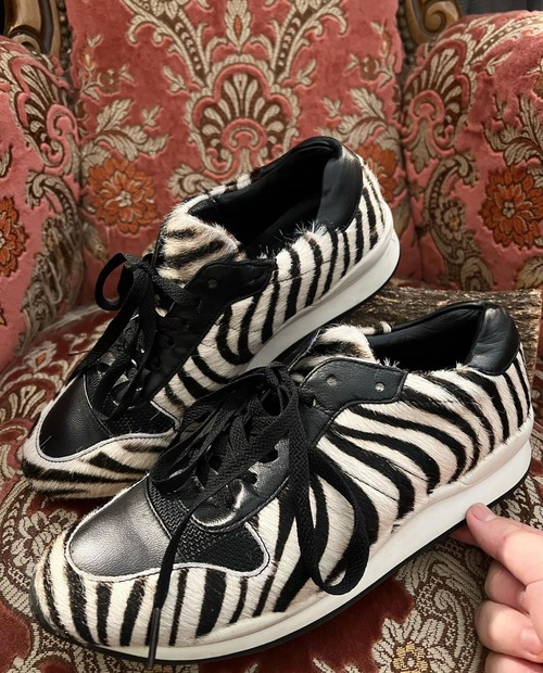 opening ceremony "zebra unborn calf" shouse【24㎝】