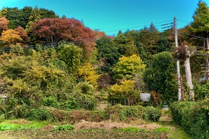 Ethical farming 第5期メンバー募集