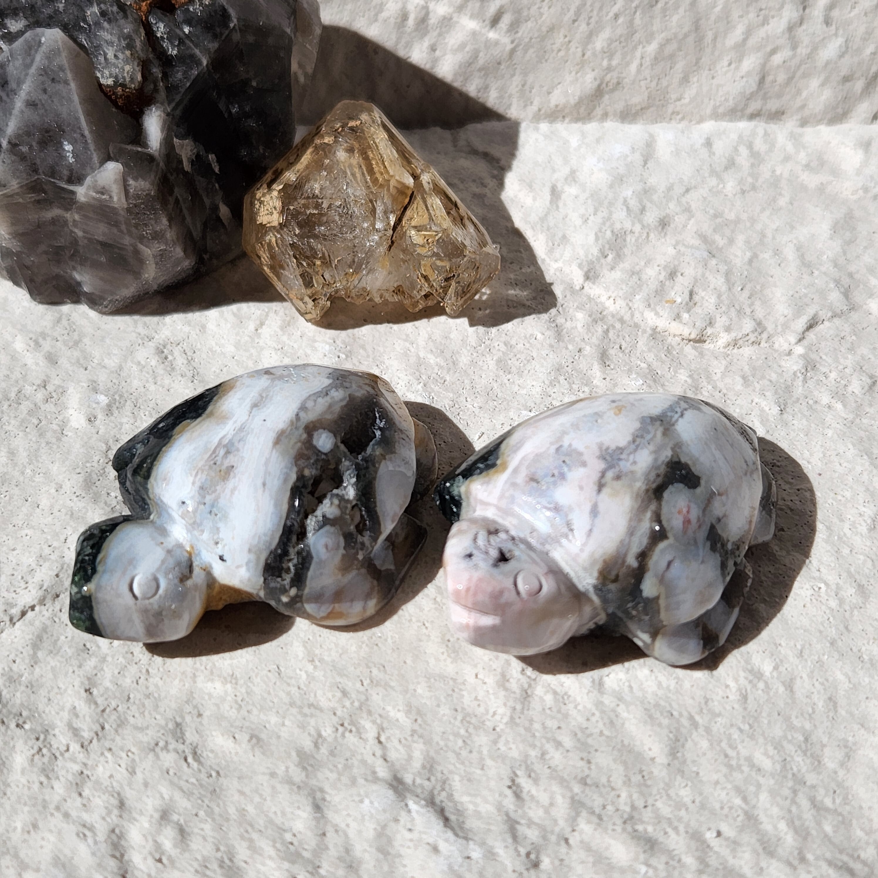 ✴8th Vein High Quality Ocean Jasper Turtle（8th Vein ハイ 