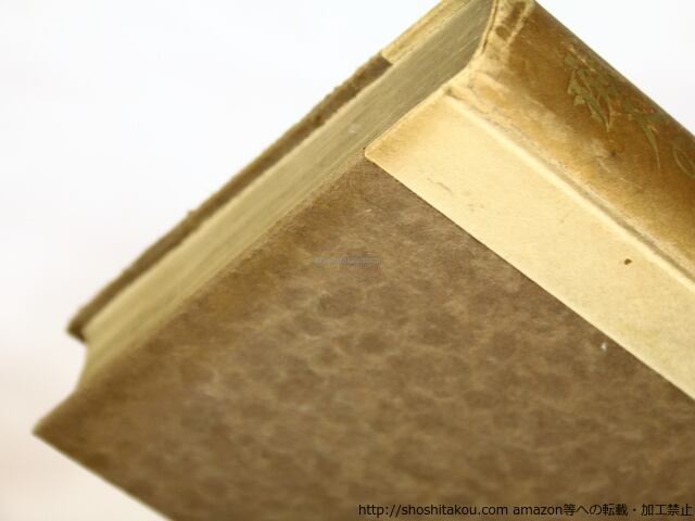 痴人の愛 初版 / 谷崎潤一郎 [35424][並] | 書肆田高