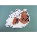 日本画切り抜き特殊はがき　ダイカットポストカード 広重 猫 トラ猫