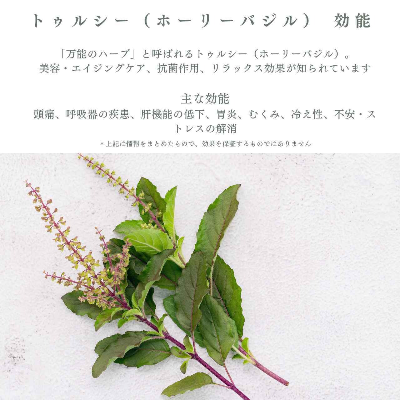 ツボクサ茶 トゥルシーブレンド｜もだま工房 石垣島産 無農薬有機栽培ハーブティ