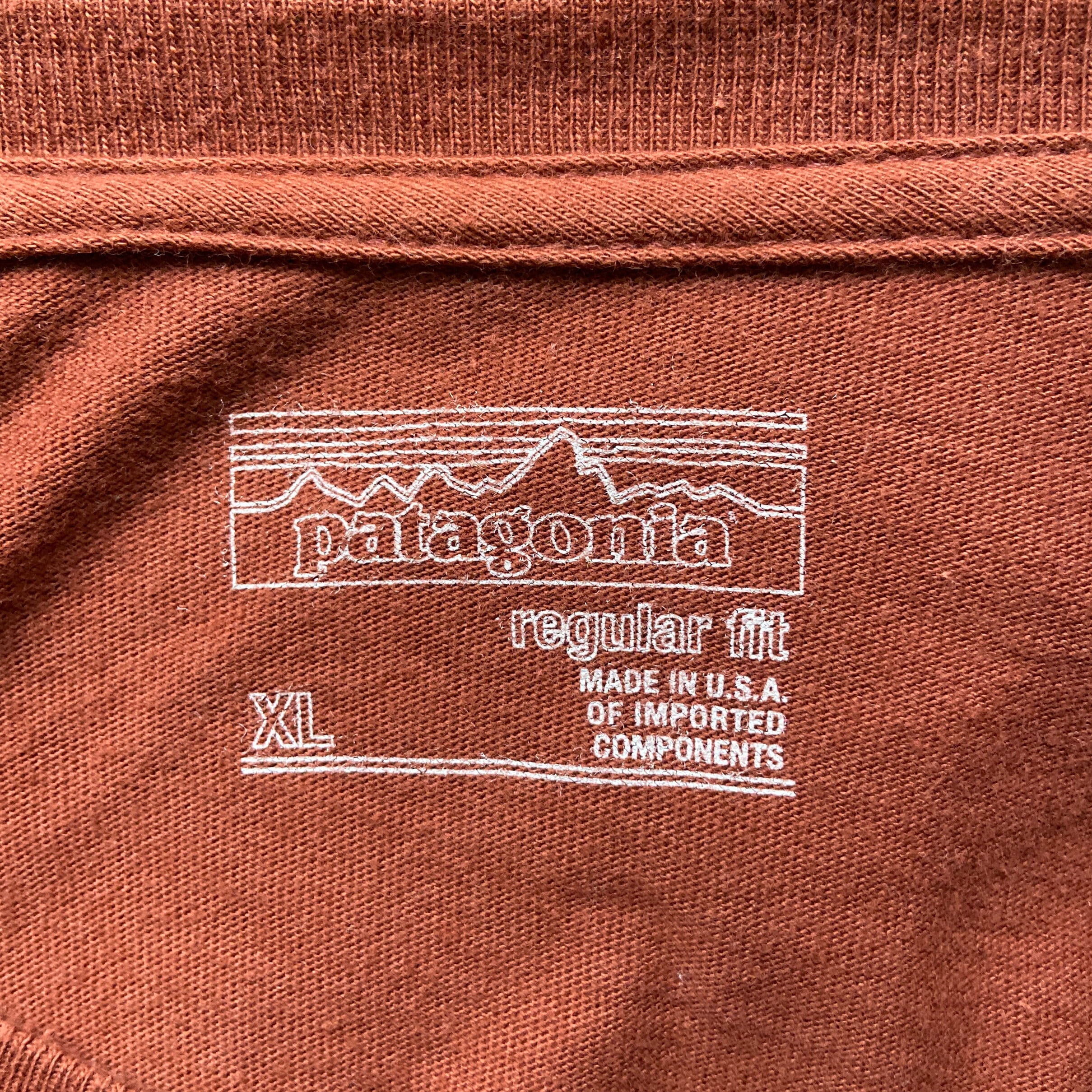 USA製 patagonia パタゴニア 胸ロゴ バックプリント ロングTシャツ