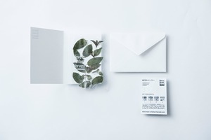 【Have a Herbal Harvest/ハーブティー】LETTER SET ミント