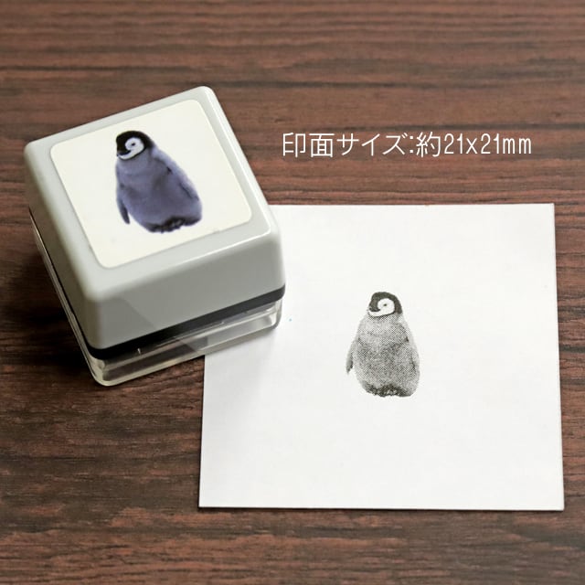 リアルふぉとスタンプ ペンギン(子） RP-041 | 浸透印スタンプ