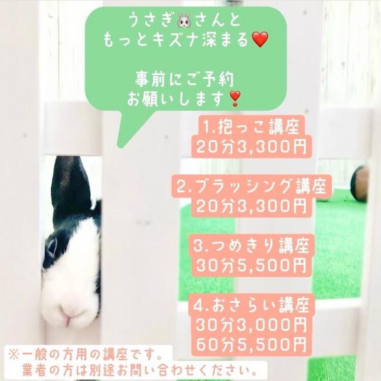 カーブ爪切り | うさぎ専門店うさぎとわたし京都店
