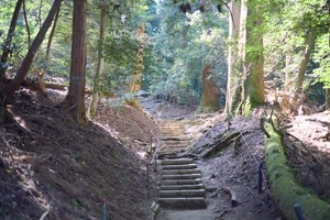 クマラレイキ2017