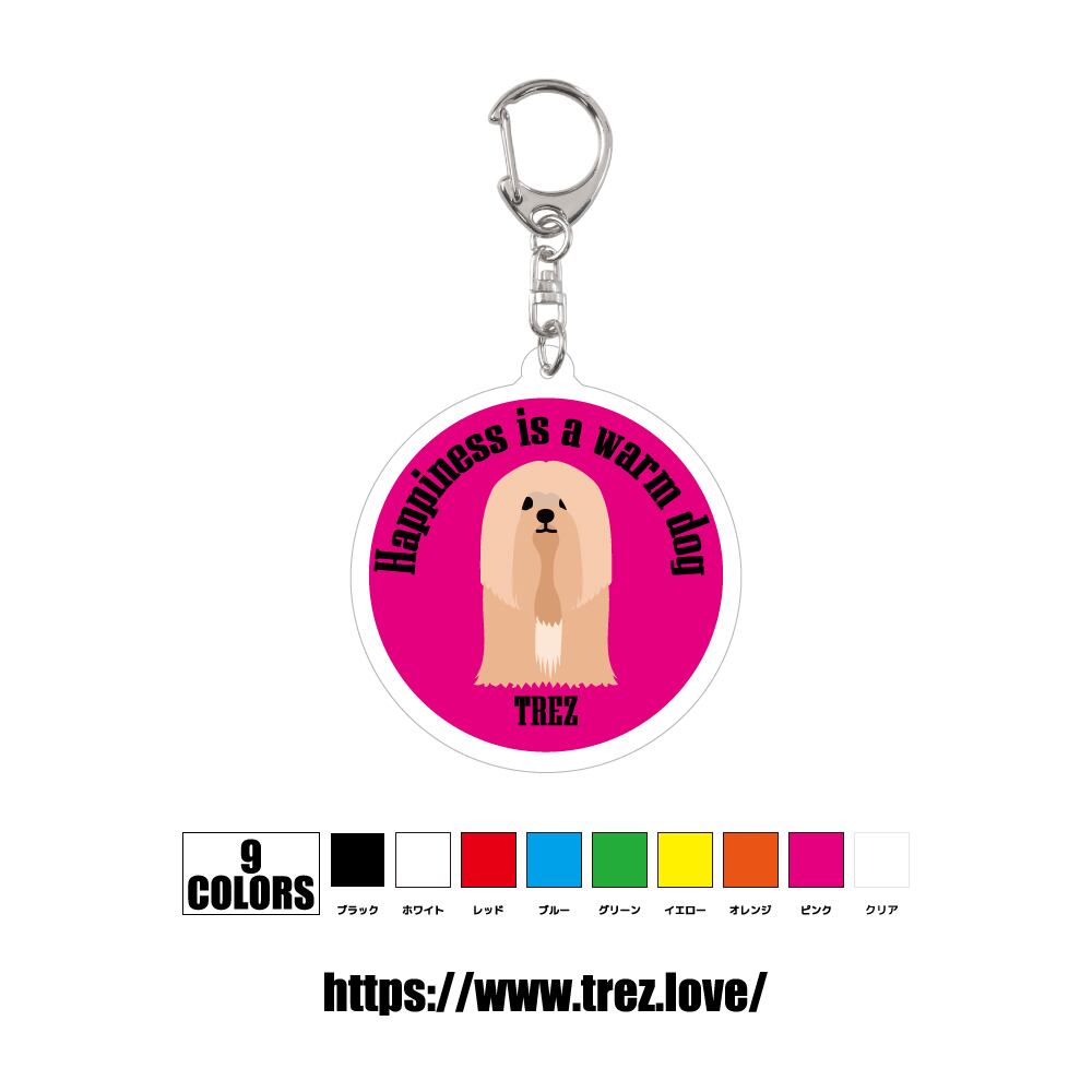 全9色 名前入り ラサアプソ アクリル 迷子札 ネームタグ キーホルダー