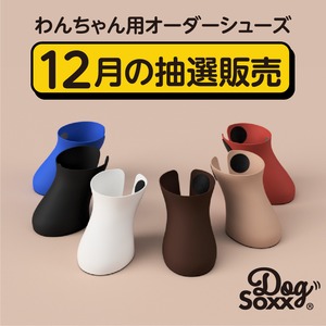 【１２月販売分】小型犬用オーダーメイドシューズ DogSoxx 散歩用