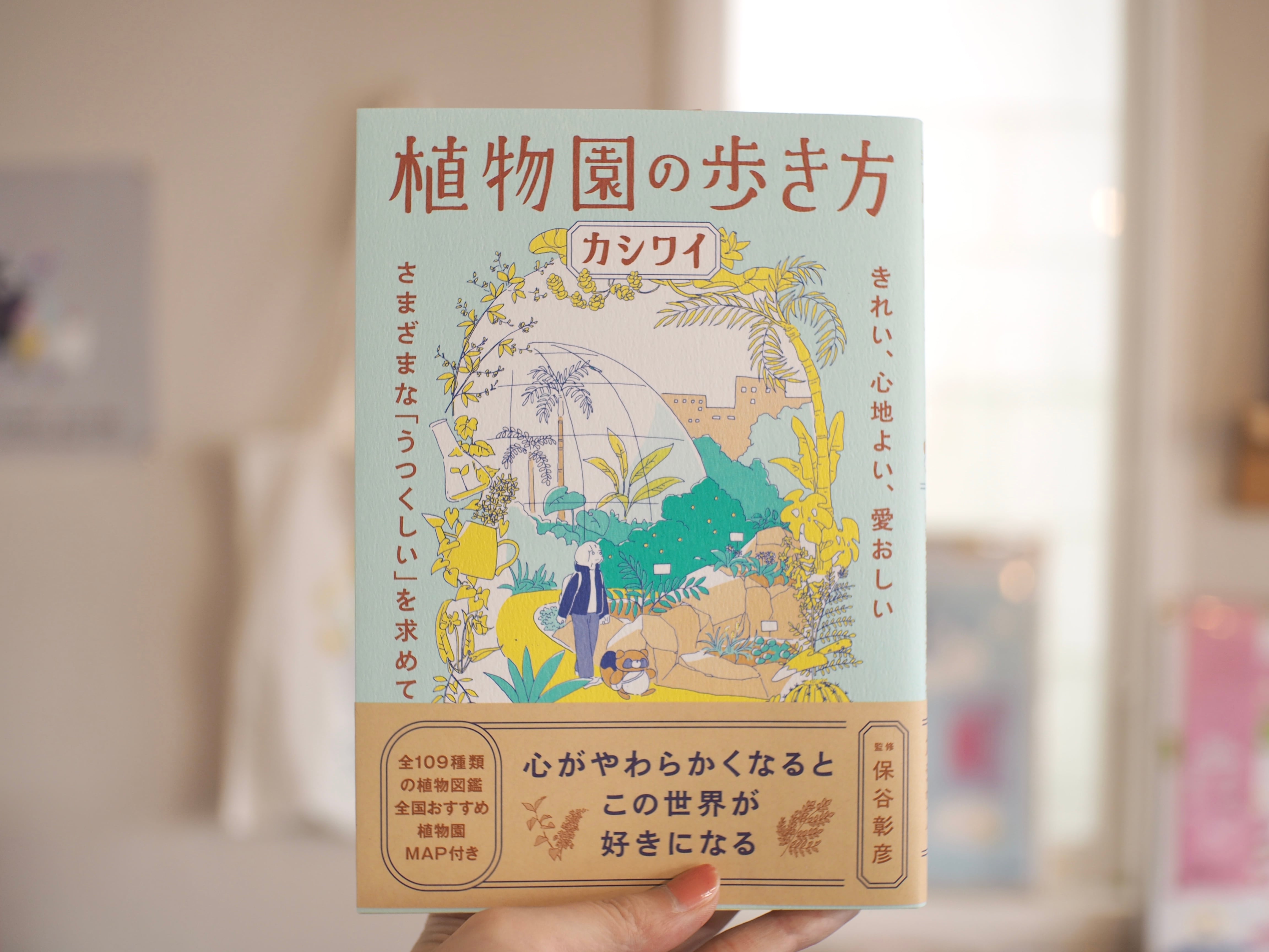 だるま 大 / 西本良太 | 本屋ブーケ