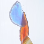 Cream Soda 12 - アゲートヒーリングチャイム / Agate Sun Catcher Wind Chime 1080