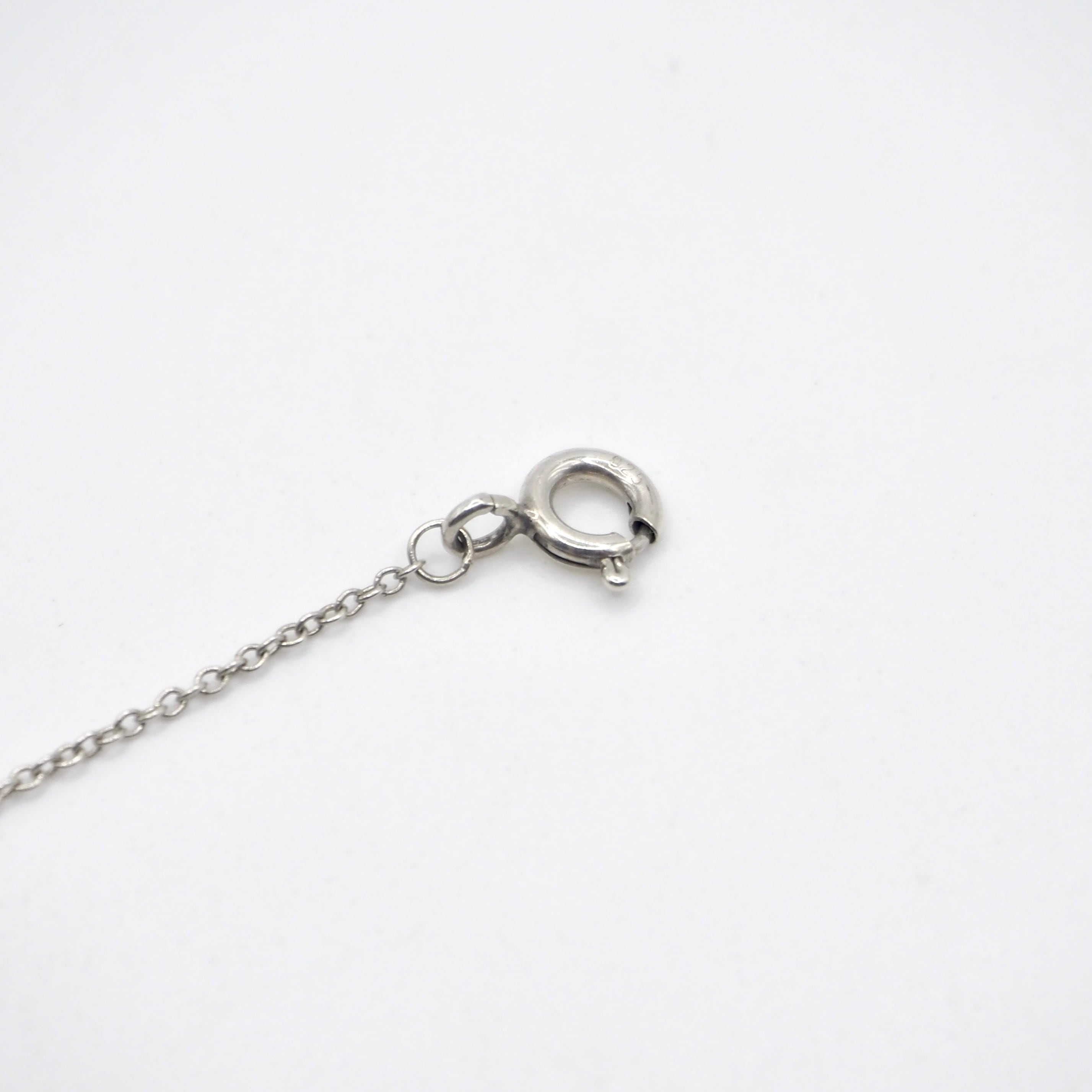 Tiffany&Co. ホースシューペンダント ネックレス シルバー925 シルバー