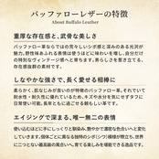 スラントイース バッファロー