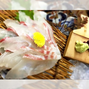 リモートシェフ料理【天然真鯛の姿づくりをZoomで仕上げのお手伝い】