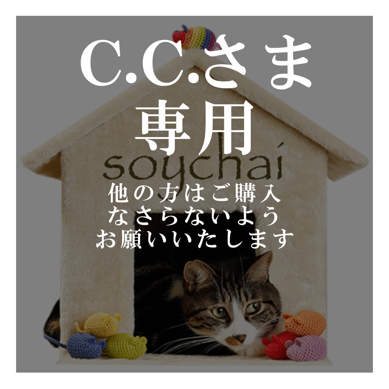 ちゃんちゃに様専用ページ ちゃちゃちゃ様専用 チャチャ様専用ページ