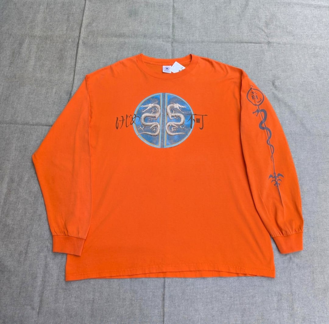 レア!! 00s けじめ不可 Dragon print humor l/s tee 小岩店