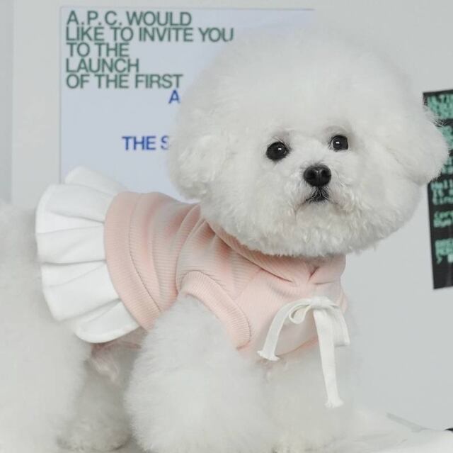 《予約》3102380 パーカー×プリーツスカート