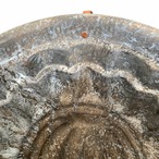 コッパーモールド　お菓子焼型 大サイズ 果実 カボチャ（ハゲあり） 18KWa32-3