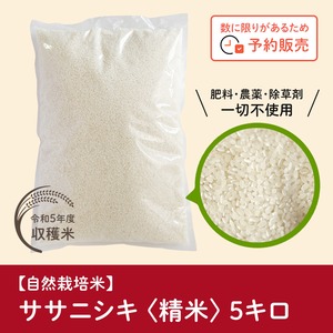 【自然栽培米】ササニシキ＜精米＞ 5キロ