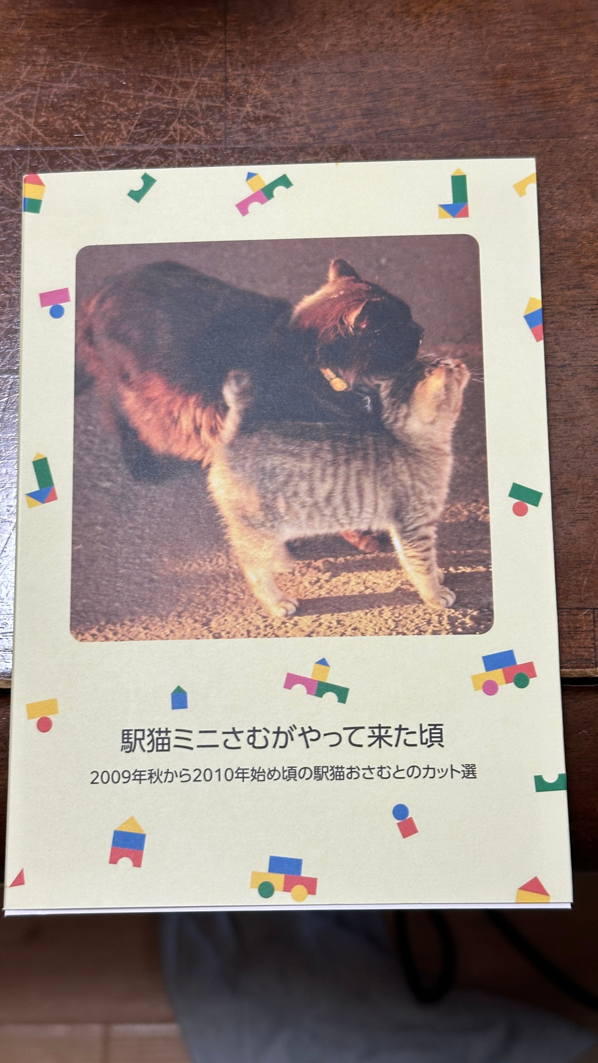 サスケ!! いとしき猫よ｜深瀬昌久 | PAY ID