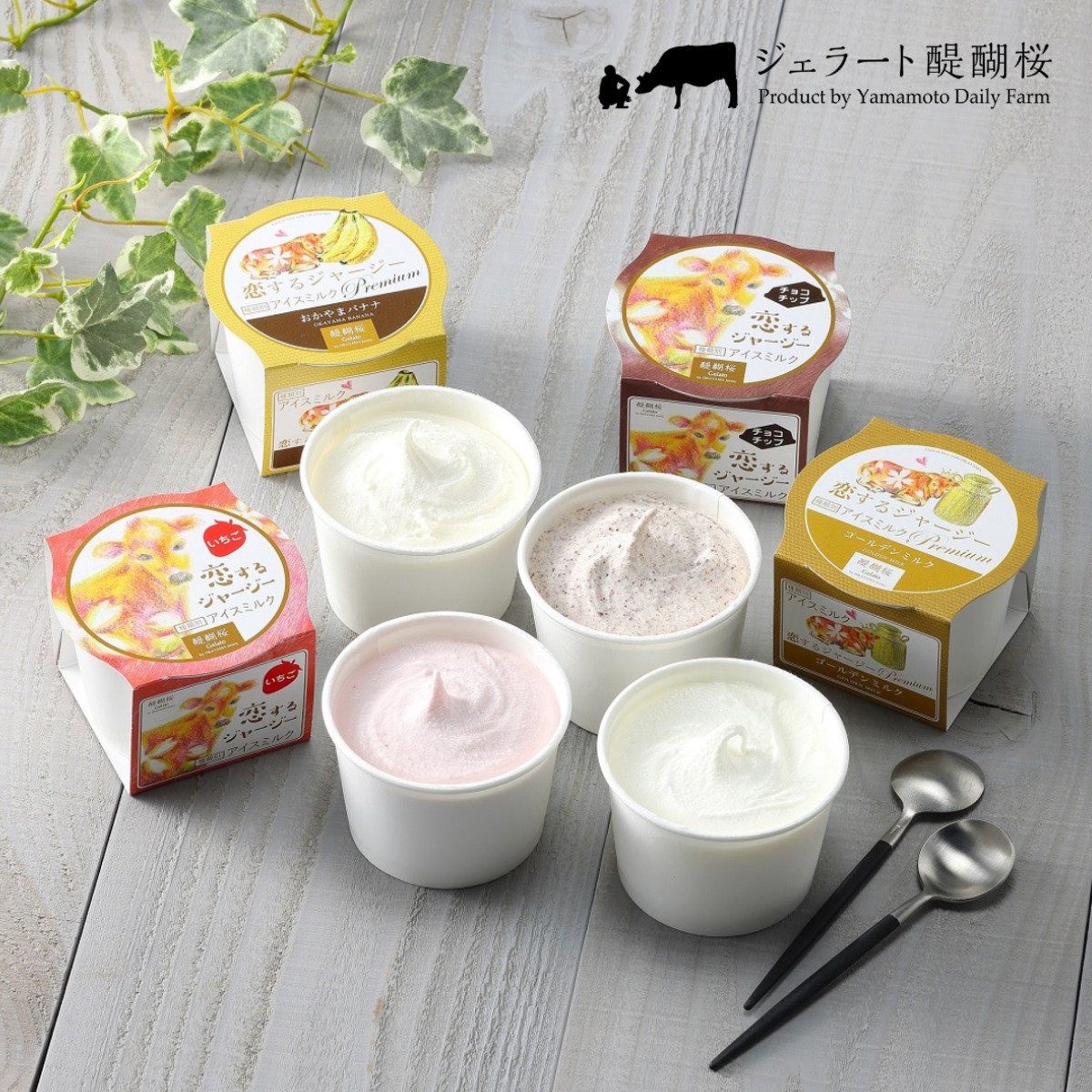 お菓子の国☆　大人気恋愛カウンセラー養成講座全巻セット 8個入り 恋するジャージージェラートE | ジェラート醍醐桜