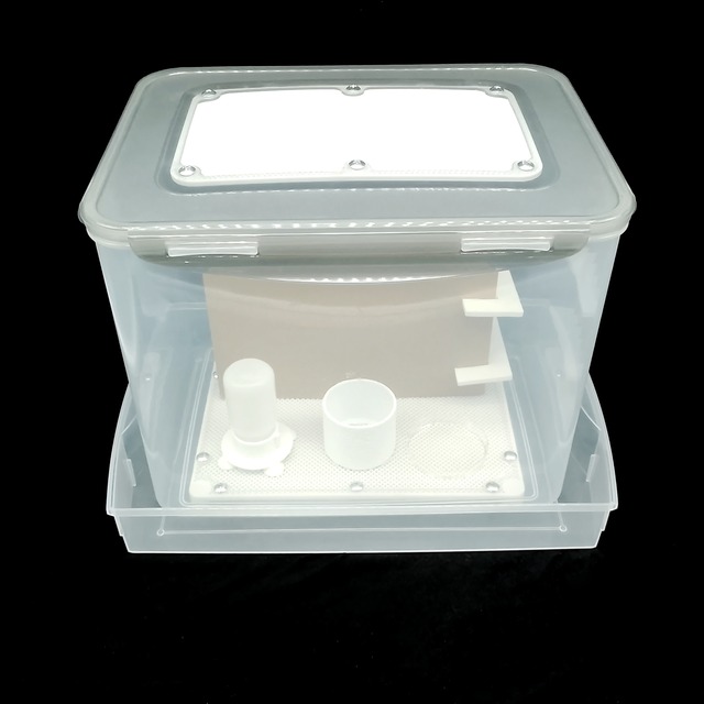 あり巣式 給蜜器｜給水器｜5ccタイプ