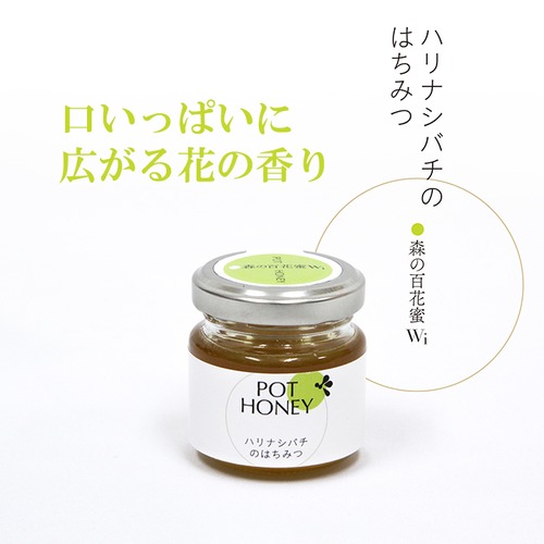 ハリナシバチの蜂蜜　　POT HONEY　森の百花蜜　40g