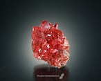 ロードクロサイト【Rhodochrosite】南アフリカ産