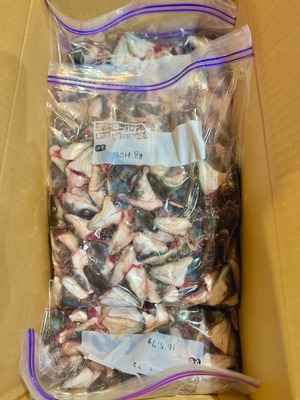 冷凍ウナギの頭約1kg入