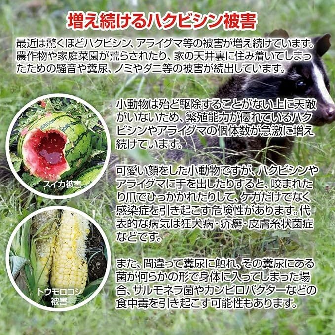 撃退ハクビシン強力タイプ【屋外用】100個入 忌避剤をさらに2倍に増量