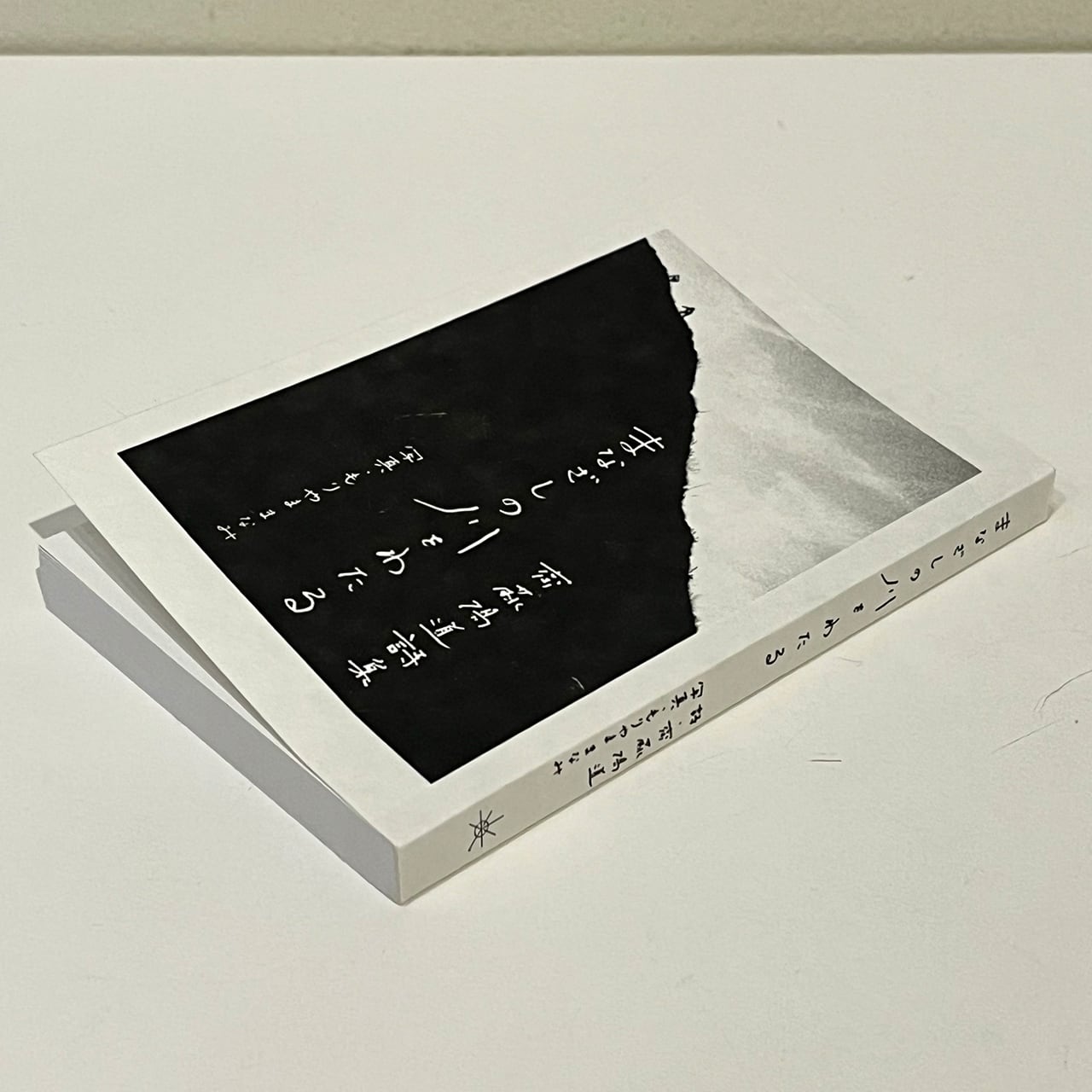 オンライン限定SALE＞Danny Lyon: The Seventh Dog 定価¥17,940 | ON