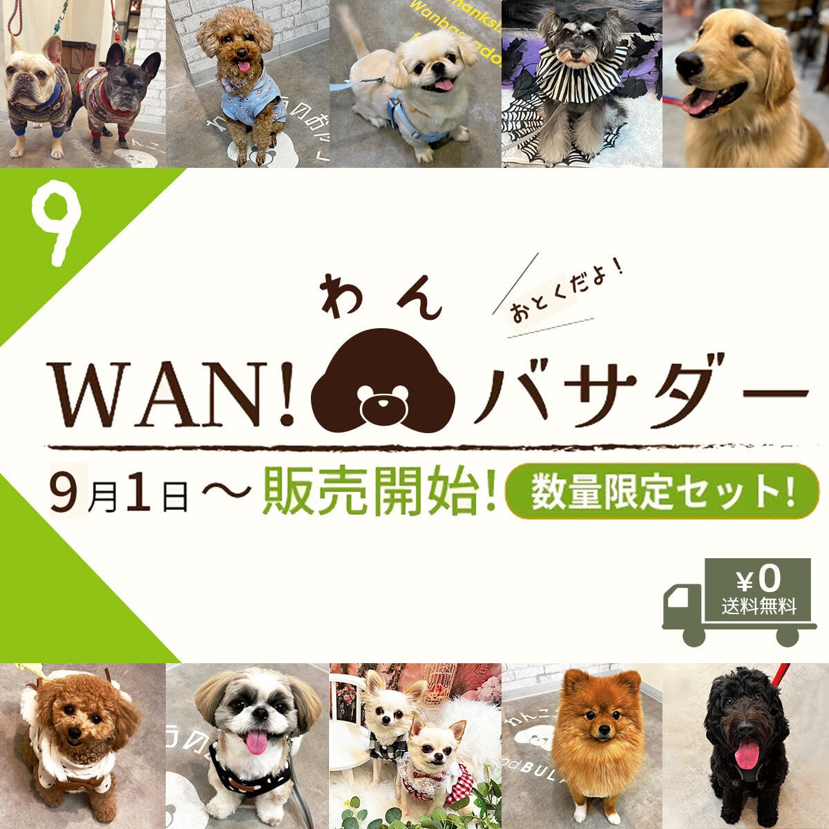 WANバサダー2点セット【2026年9月分】数量限定!《全犬種用》送料無料 #wanバサダー WANBASSADOR ワンバサダー (鹿肉・鶏肉・いのしし・おさかな・アラカルト・大地の恵み・SWEETS・wanbassador )