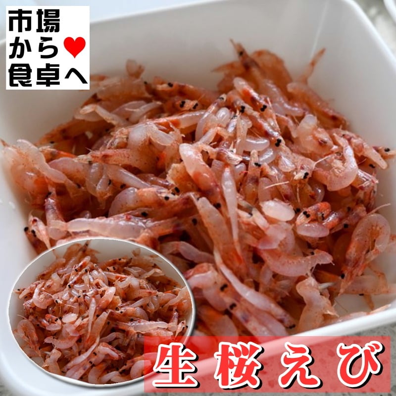獲れたての桜海老を急速冷凍しています。刺身・寿司・丼にお使いいただけます【冷凍便】　【生食用・業務用】　生桜えび　500g　(冷凍)　うまいもの市場