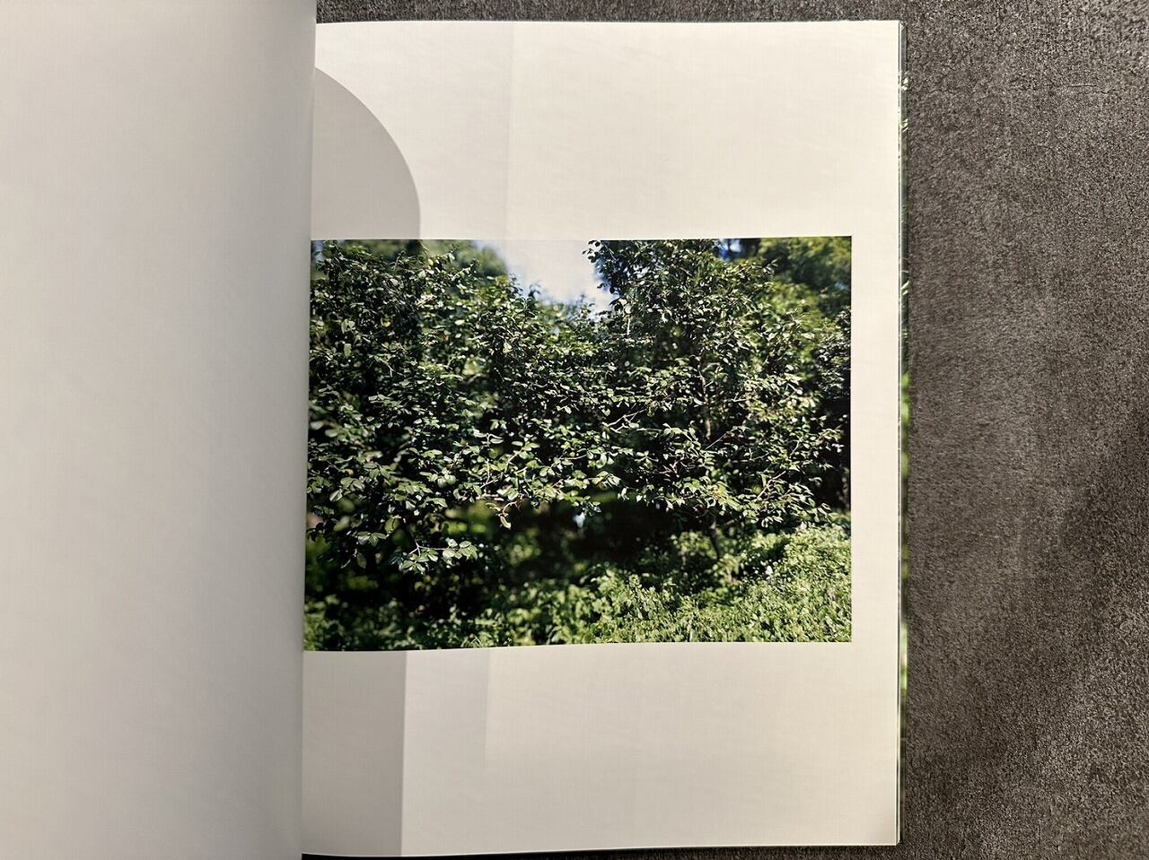 VA631】Naruki Oshima haptic green /大島成己 | KITAZAWA BOOKSTORE