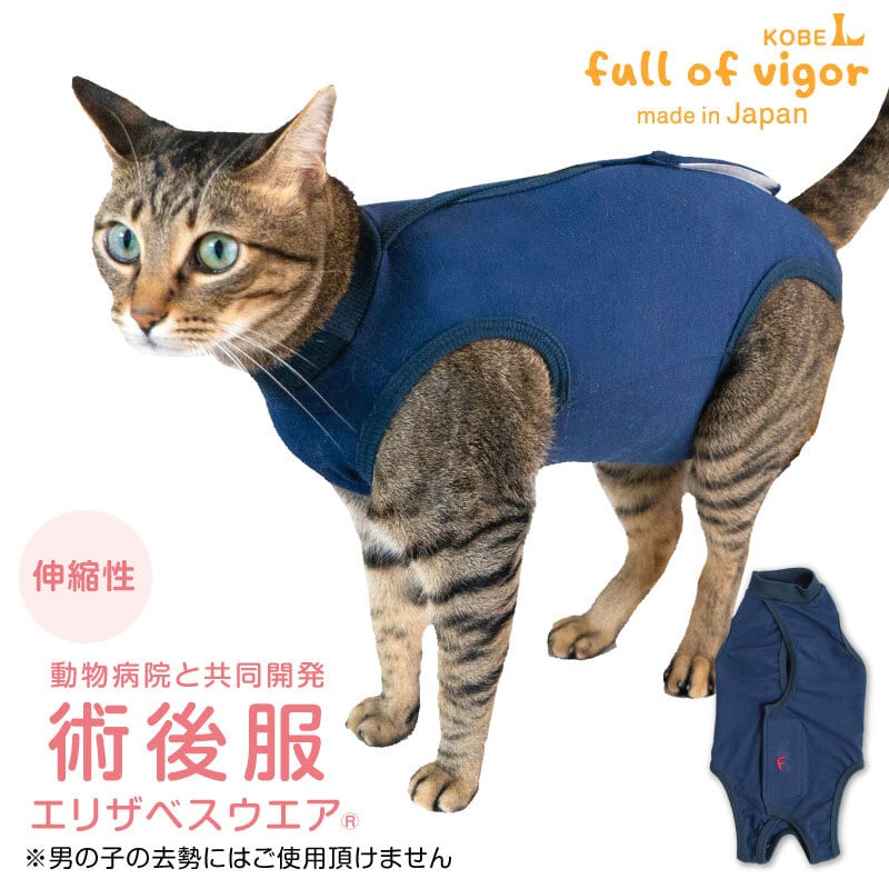 【新品】『CLサイズ』F.ベア天竺術後服エリザベスウエア(R)(男女兼用/猫用/伸縮性素材)