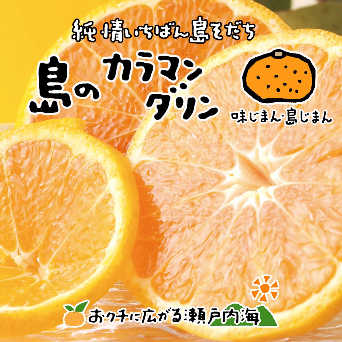 みかんの楽園 希望の島
