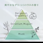 SUCCESS サクセス24 フレッシュフィールシャンプー 本体 〈グリーンシトラスの香り〉 400ml