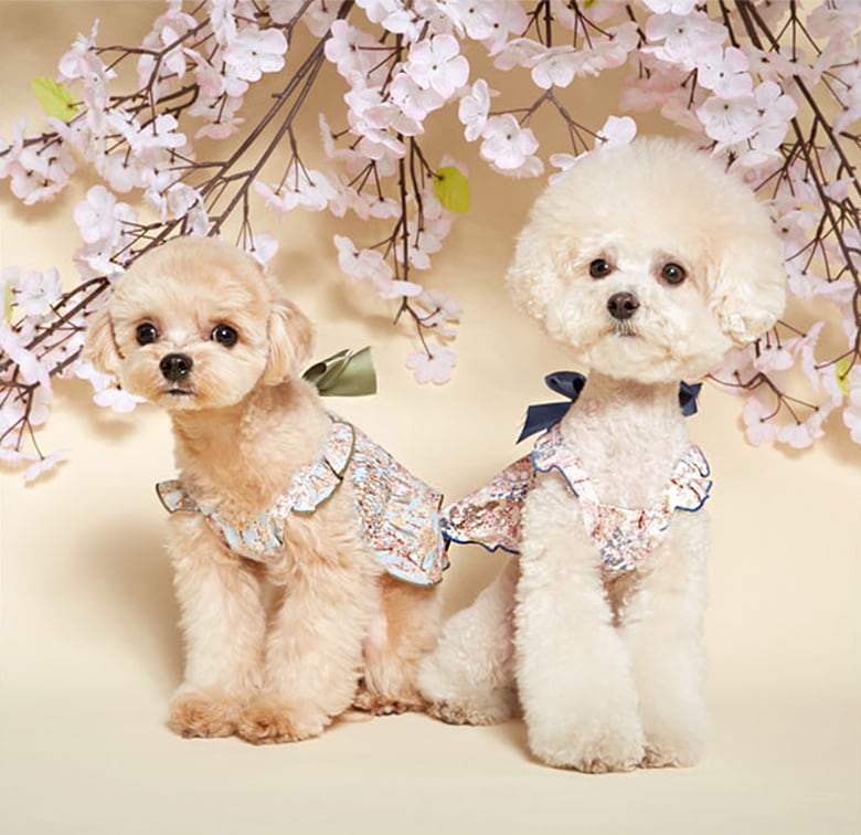 SALE】ロココワンピース S ~ XL 4color / 犬服 犬の服 犬 ワンピース