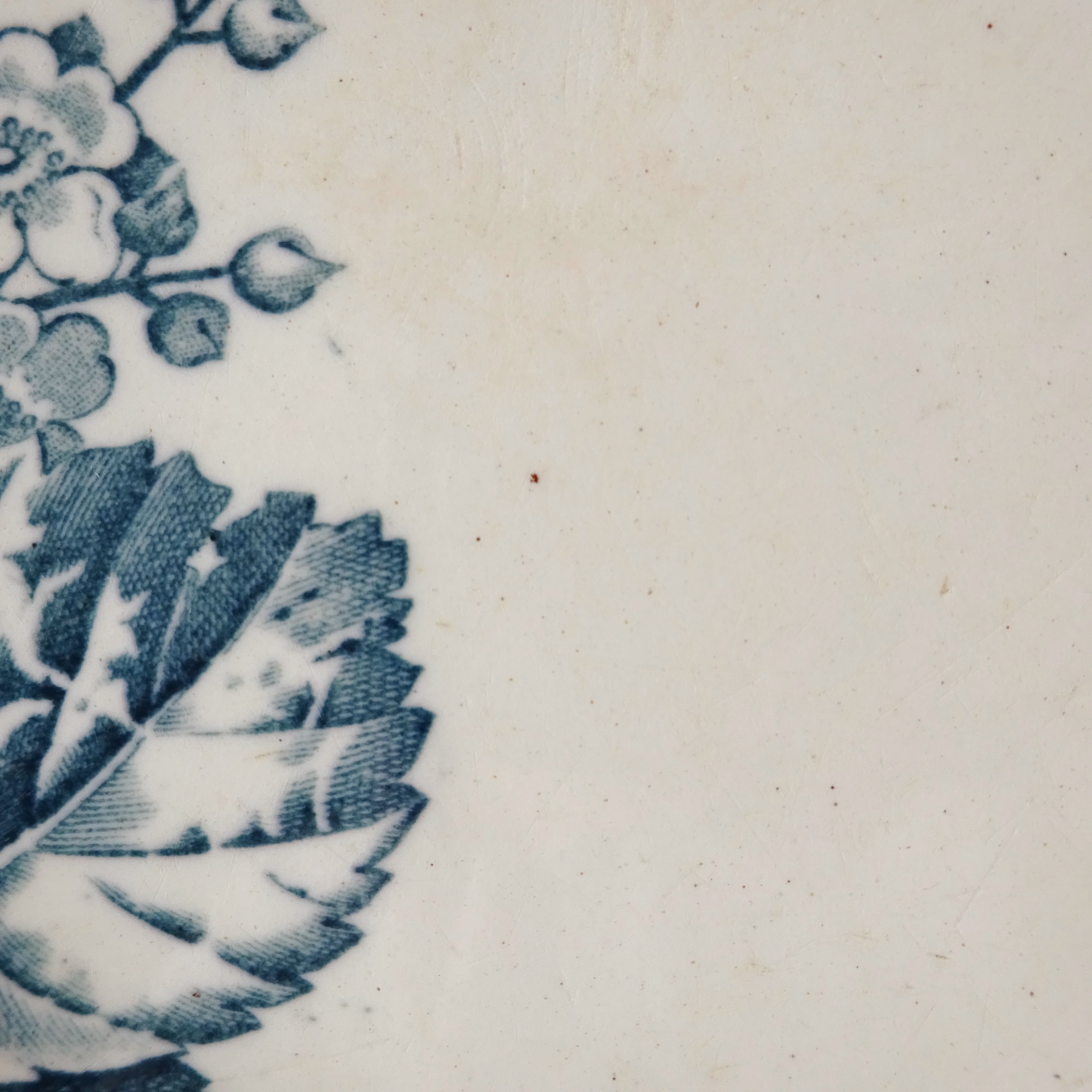 【 Épuisé 】KG Lunéville  modèle《RONCE》Assiette creuse