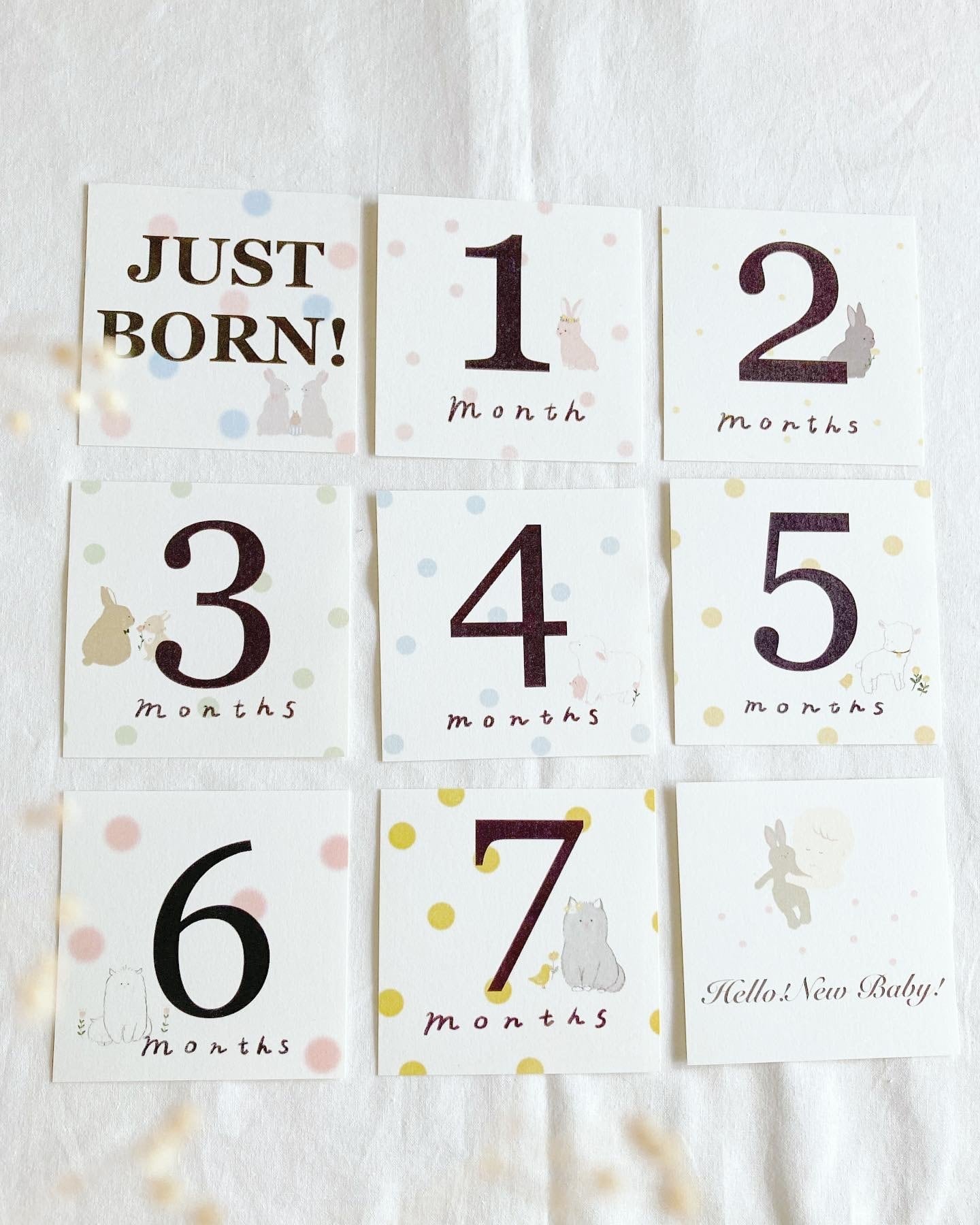 マンスリーカード【The original baby cards】月齢カード | millin-美鈴-