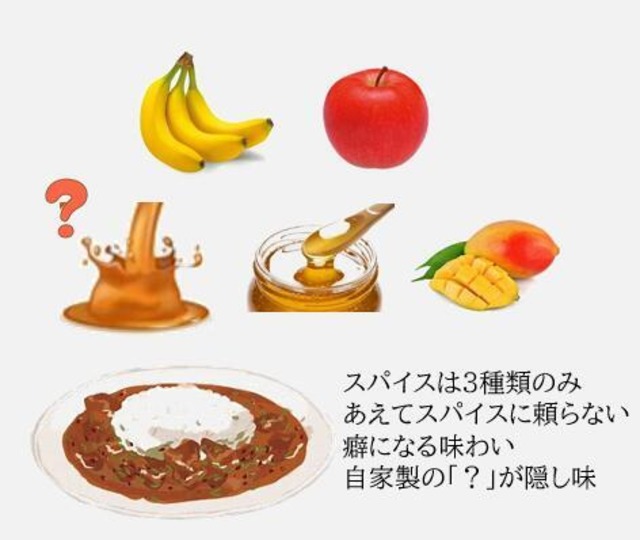 THE PUREMIUM水たき屋の本気の秘伝レシピ 鶏カレー 【5食入り】
