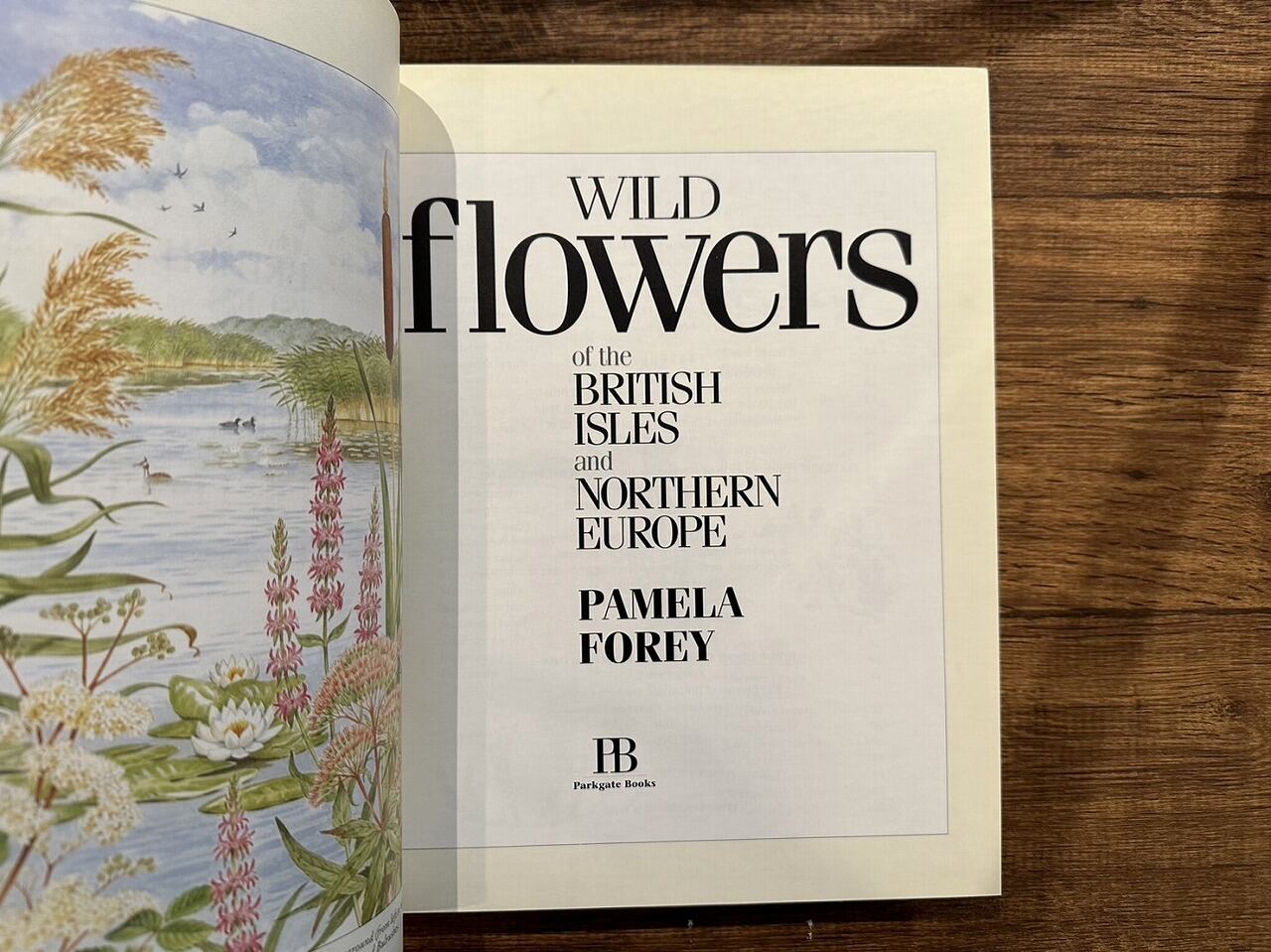 VW165】Wild Flowers of the British Isles and Northern Europe Forey