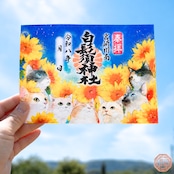 -七福満開 - 七福猫御朱印【八月・葉月】